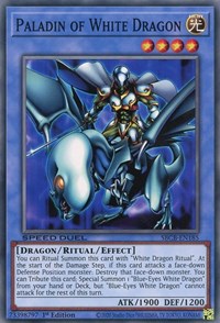 Paladin of White Dragon [SBCB-EN185] Common | Exor Games Summserside