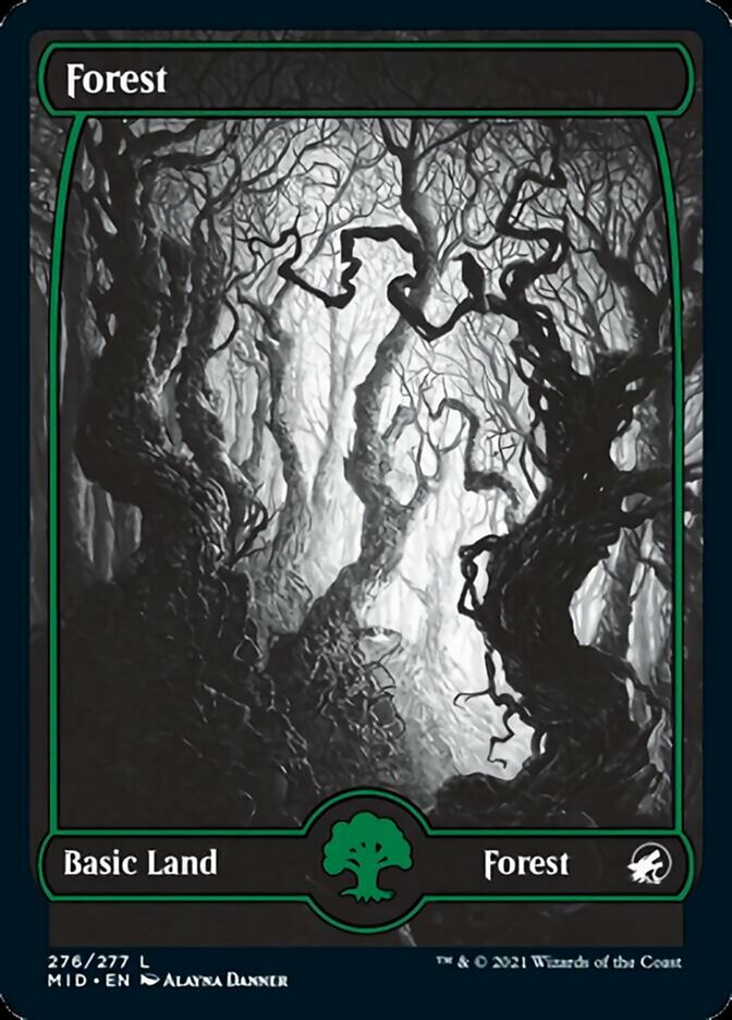 Forest (276) [Innistrad: Midnight Hunt] | Exor Games Summserside