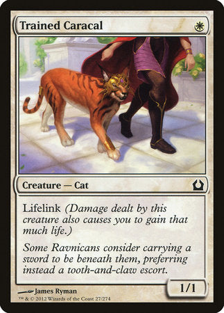 Trained Caracal [Return to Ravnica] | Exor Games Summserside