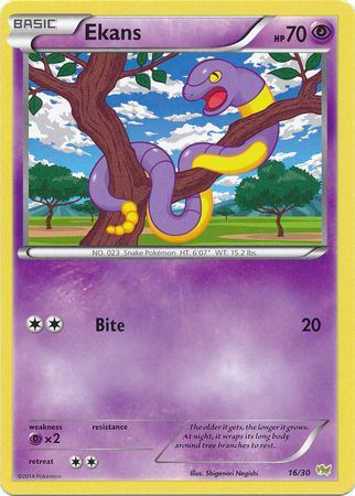 Ekans (16/30) [XY: Trainer Kit - Noivern] | Exor Games Summserside