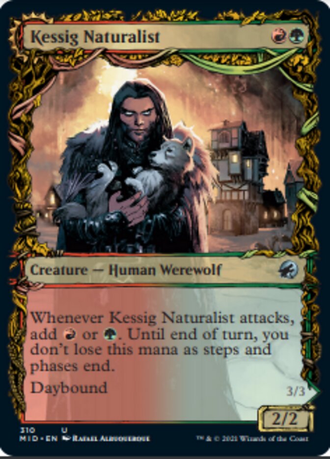 Kessig Naturalist // Lord of the Ulvenwald (Showcase Equinox) [Innistrad: Midnight Hunt] | Exor Games Summserside