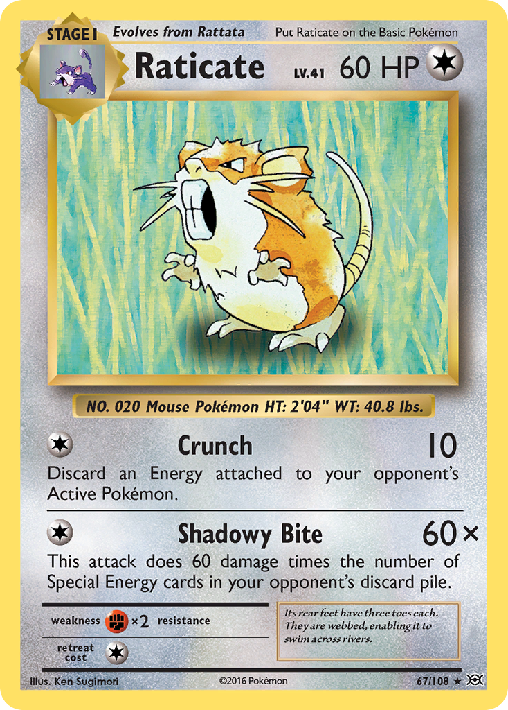 Raticate (67/108) [XY: Evolutions] | Exor Games Summserside