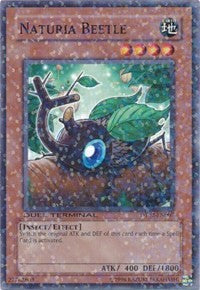 Naturia Beetle [DT02-EN007] Common | Exor Games Summserside