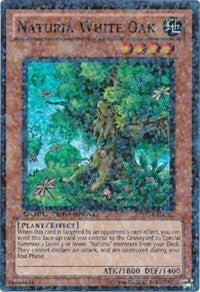 Naturia White Oak [DT04-EN081] Super Rare | Exor Games Summserside