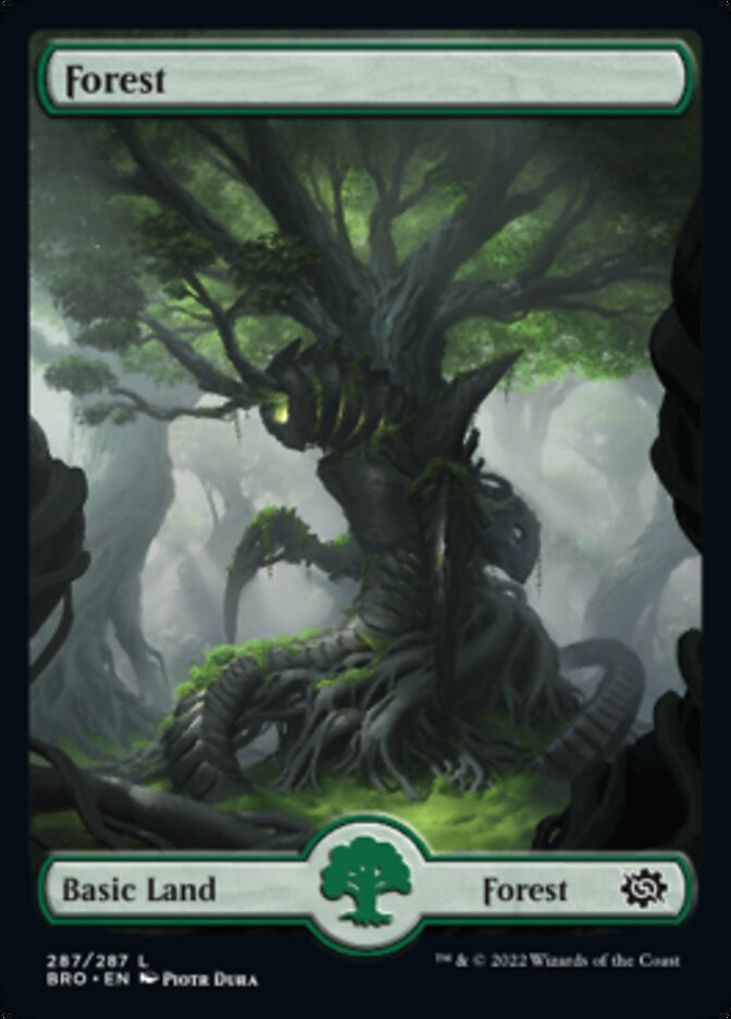 Forest (287) [The Brothers' War] | Exor Games Summserside