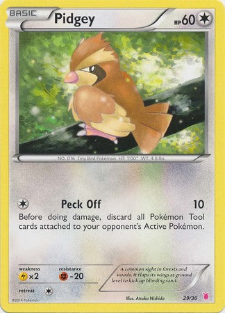 Pidgey (29/30) [XY: Trainer Kit 1 - Wigglytuff] | Exor Games Summserside