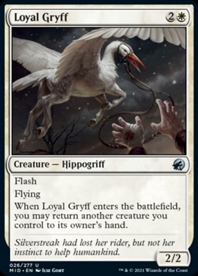 Loyal Gryff [Innistrad: Midnight Hunt] | Exor Games Summserside