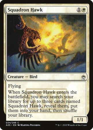 Squadron Hawk [Masters 25] | Exor Games Summserside