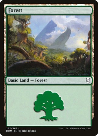 Forest (267) [Dominaria] | Exor Games Summserside