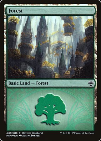 Forest - Selesnya (A09) [GRN Ravnica Weekend] | Exor Games Summserside