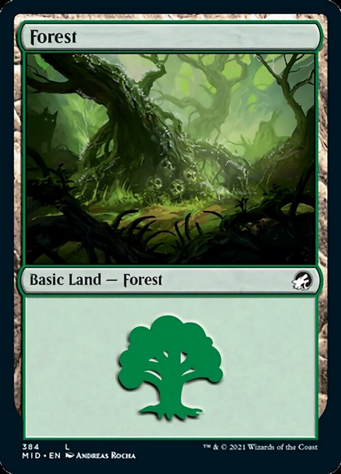 Forest (384) [Innistrad: Midnight Hunt] | Exor Games Summserside