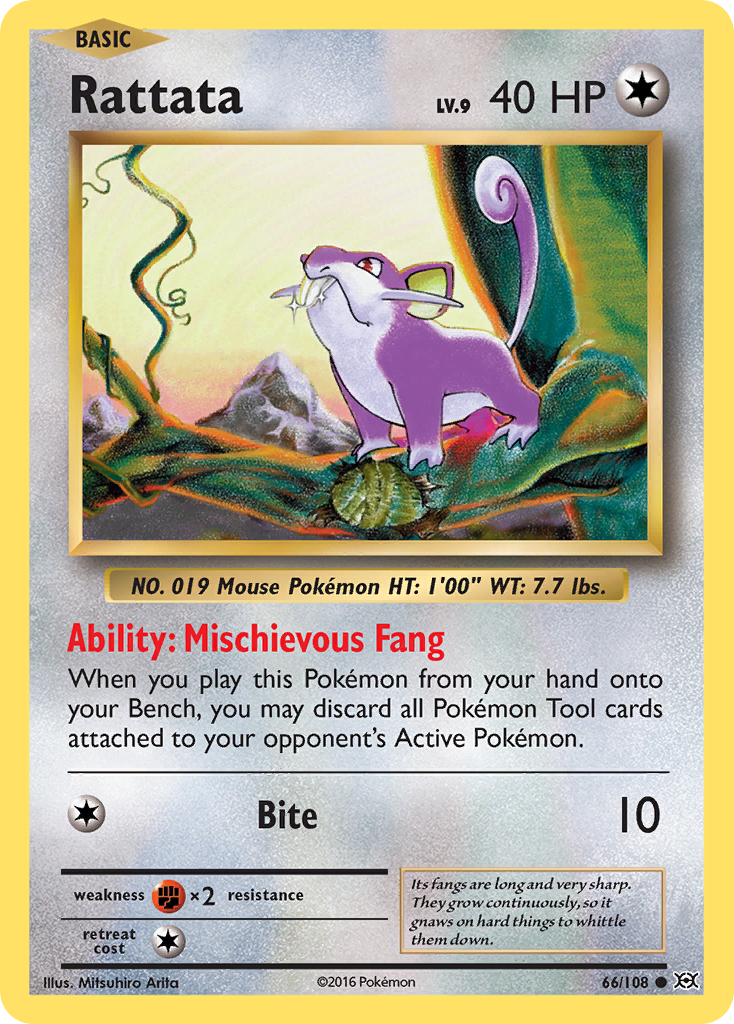 Rattata (66/108) [XY: Evolutions] | Exor Games Summserside