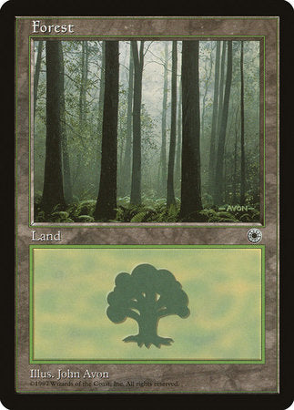 Forest (Ferns on Ground) [Portal] | Exor Games Summserside