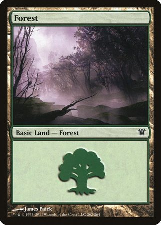 Forest (262) [Innistrad] | Exor Games Summserside