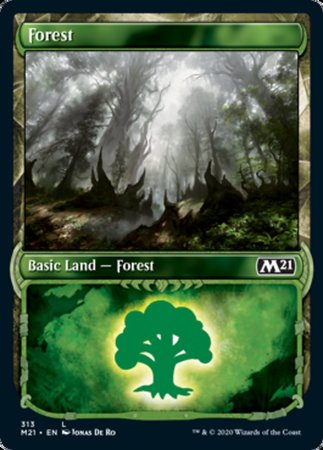 Forest (Showcase) [Core Set 2021] | Exor Games Summserside