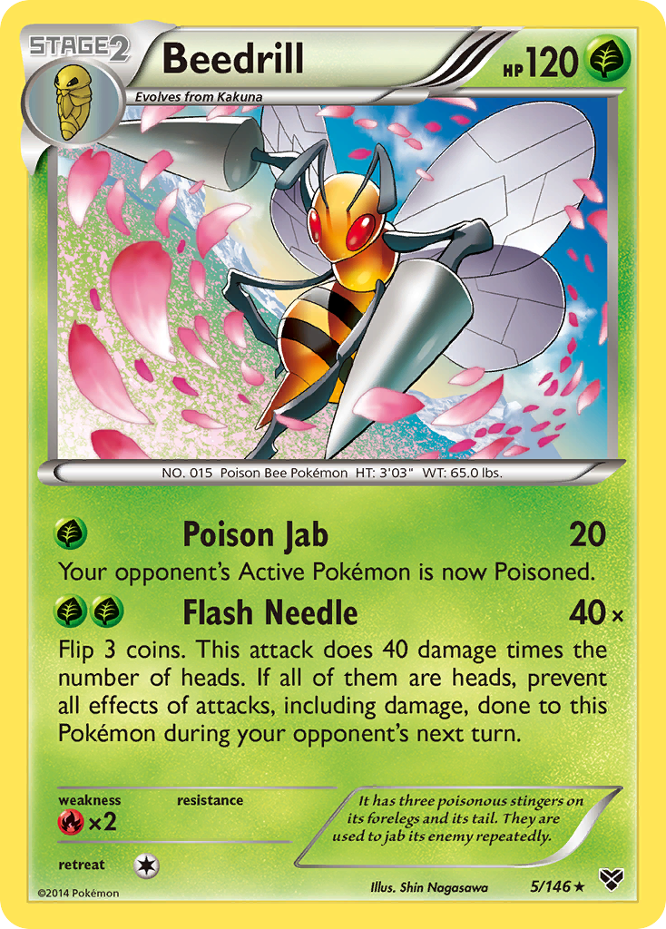 Beedrill (5/146) [XY: Base Set] | Exor Games Summserside