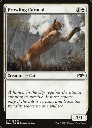 Prowling Caracal [Ravnica Allegiance] | Exor Games Summserside