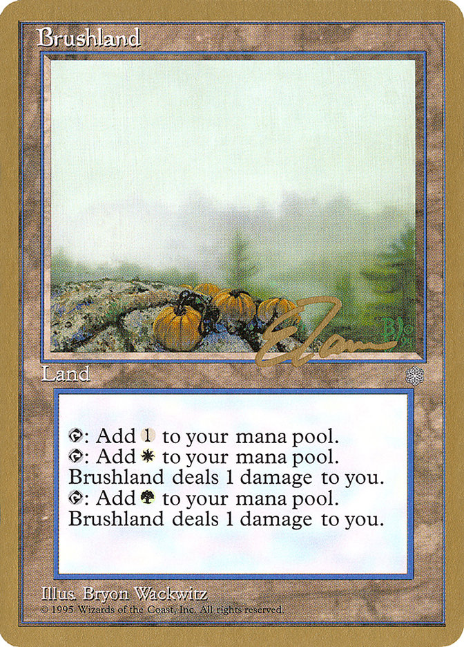 Brushland (Eric Tam) [Pro Tour Collector Set] | Exor Games Summserside