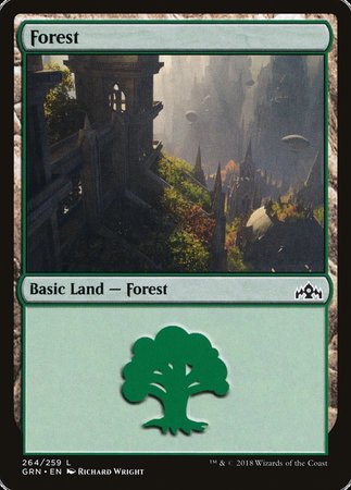 Forest [Guilds of Ravnica] | Exor Games Summserside