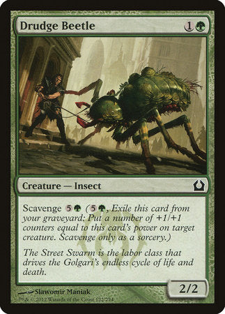 Drudge Beetle [Return to Ravnica] | Exor Games Summserside