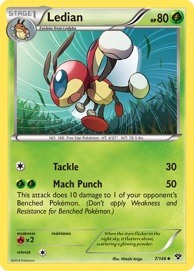 Ledian (7/146) [XY: Base Set] | Exor Games Summserside