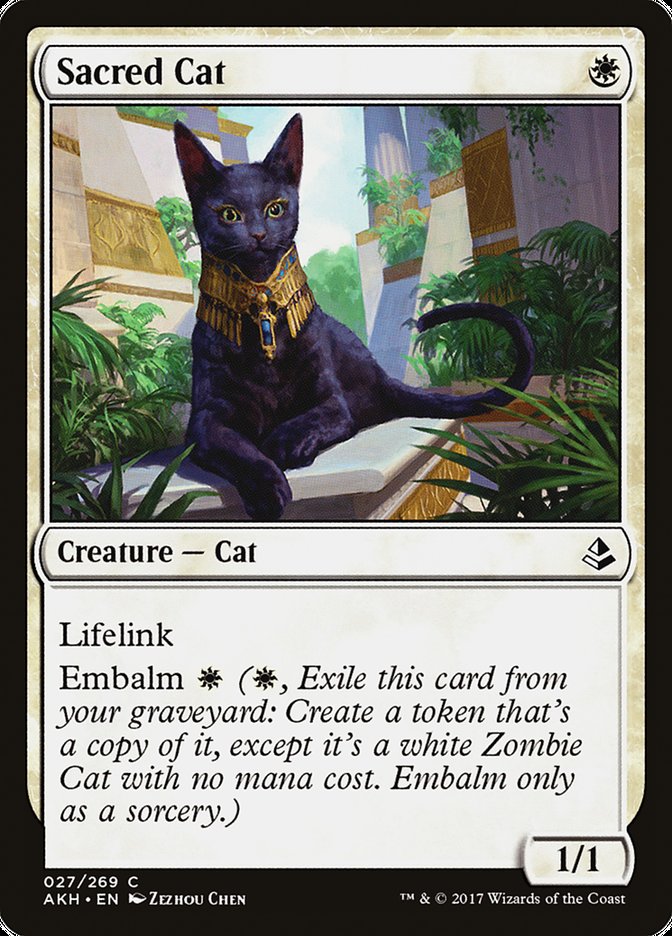 Sacred Cat [Amonkhet] | Exor Games Summserside