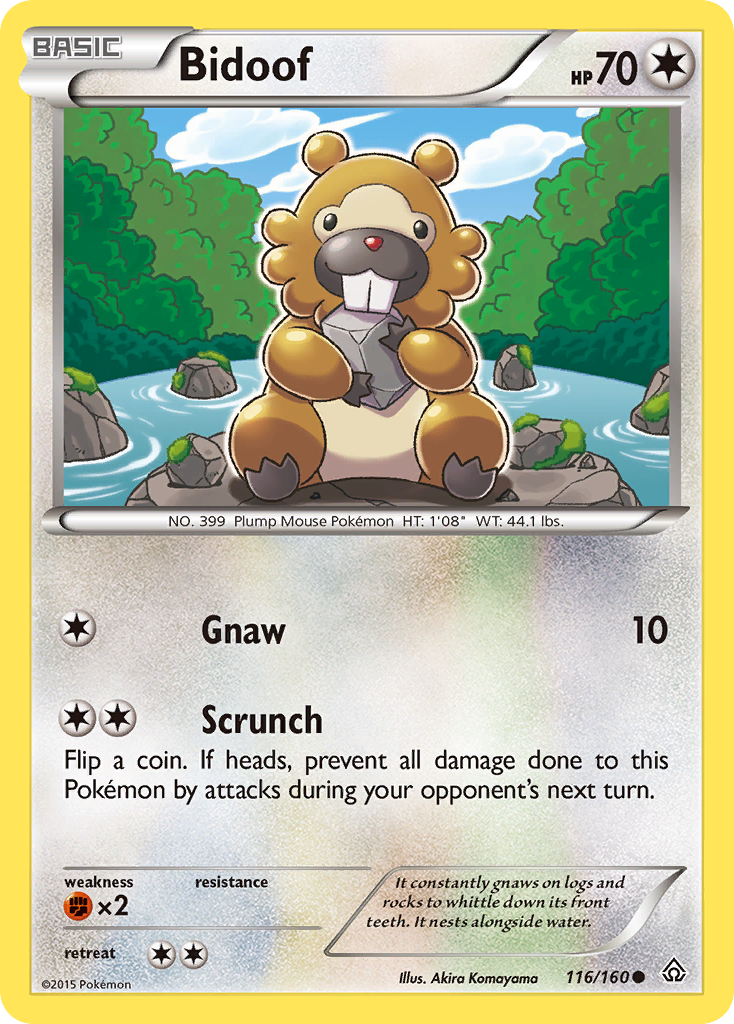 Bidoof (116/160) [XY: Primal Clash] | Exor Games Summserside